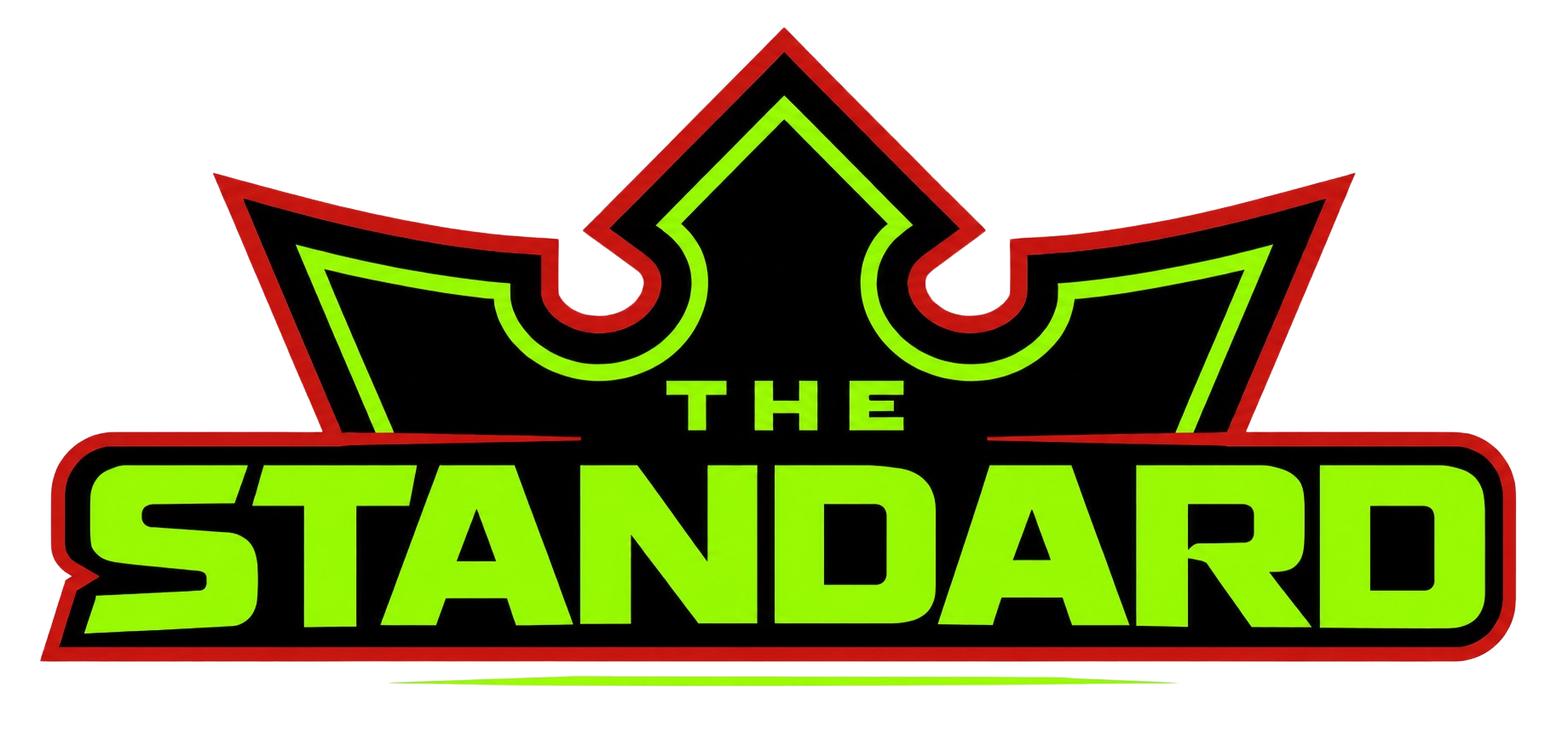 The Standard - Atlanta elite travel basketball program logo